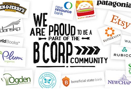 In Conversation with B Corp Certified Business, The Sponge